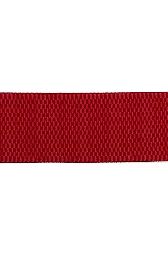 0 Red Stretch Raffia Belt Band