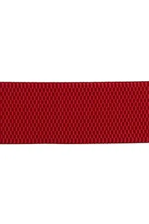 0 Red Stretch Raffia Belt Band
