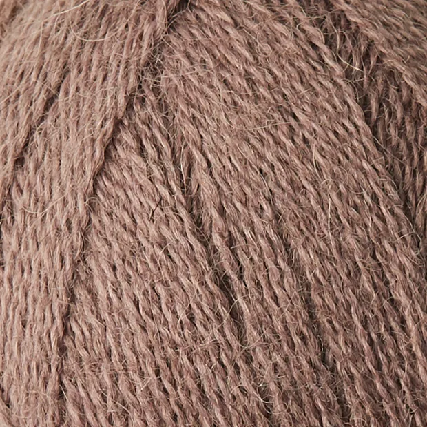 Alpaca 1