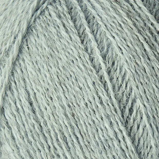Alpaca 1