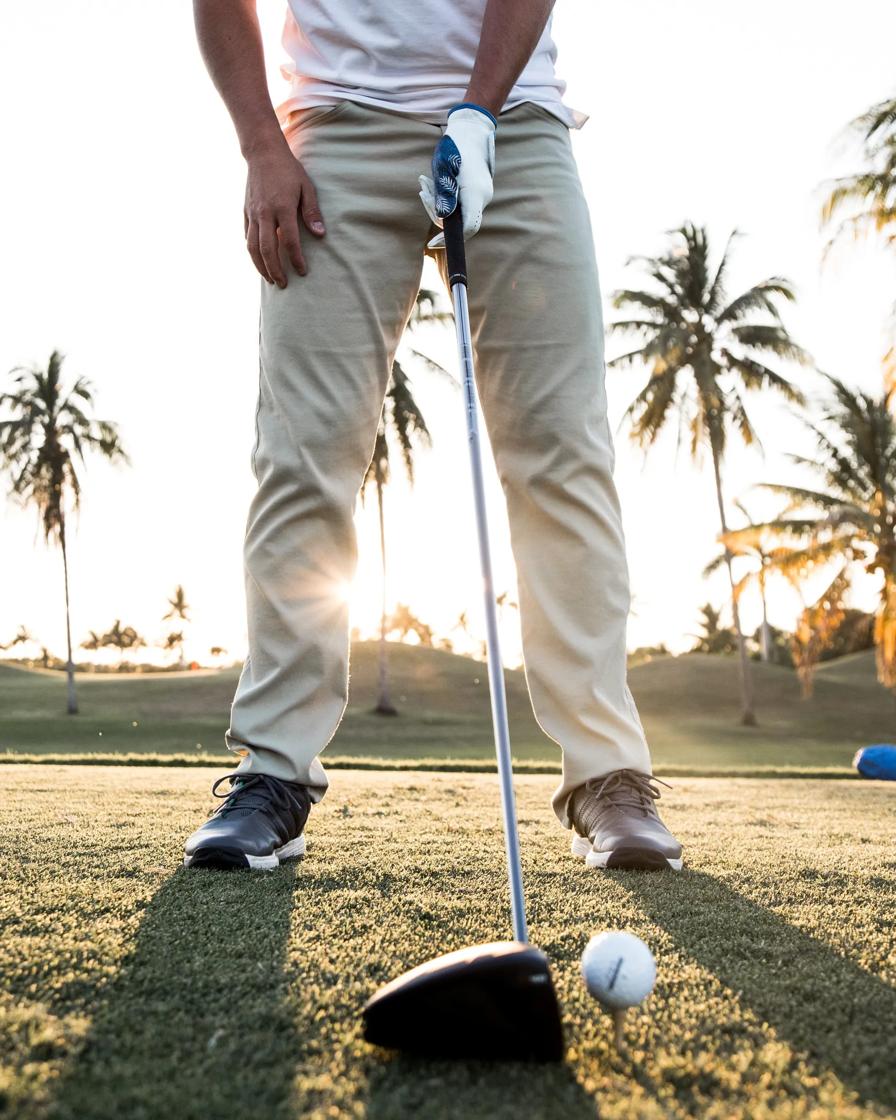 Blue Palms -  Cabretta Golf Glove