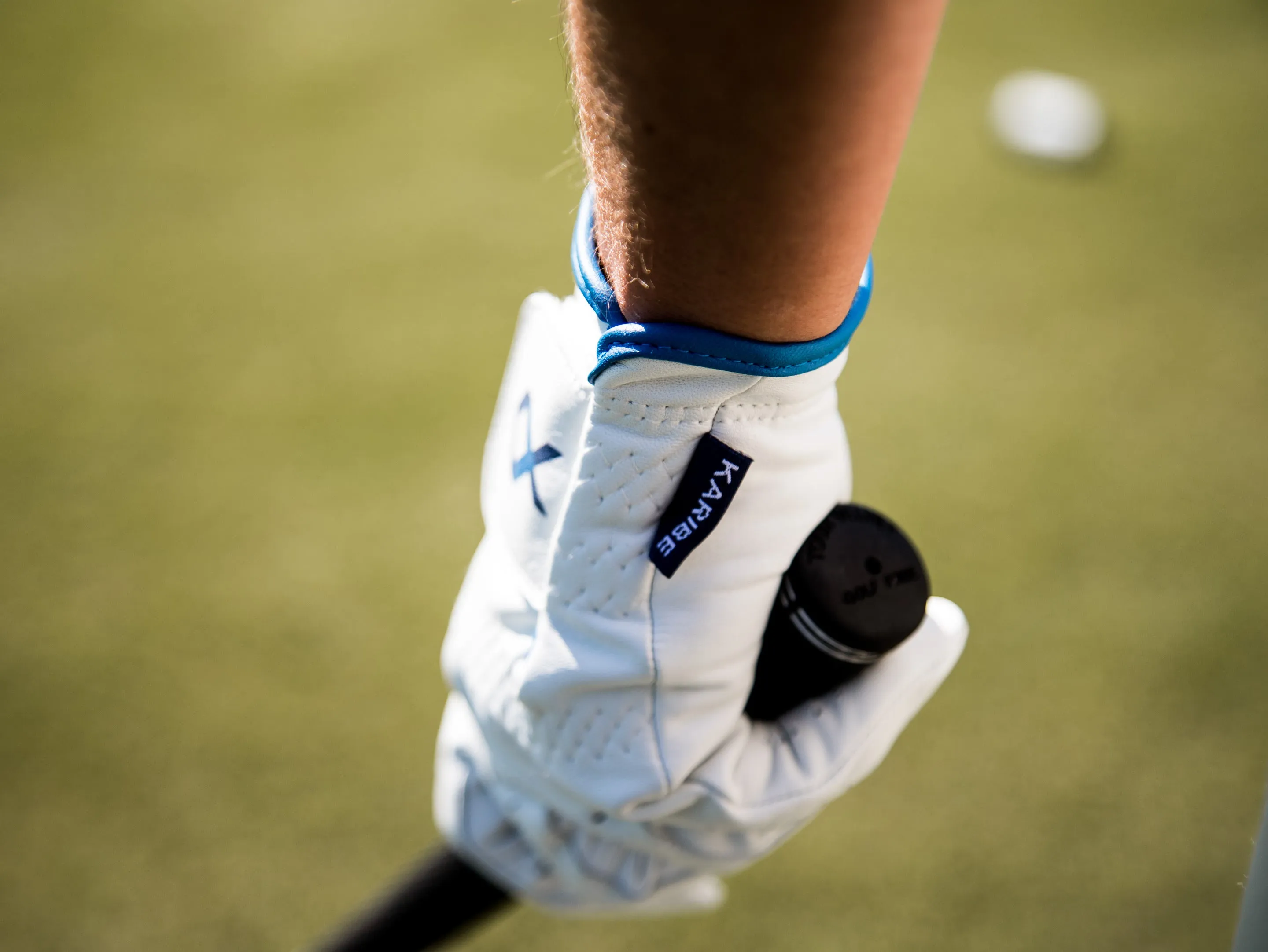 Blue Palms -  Cabretta Golf Glove