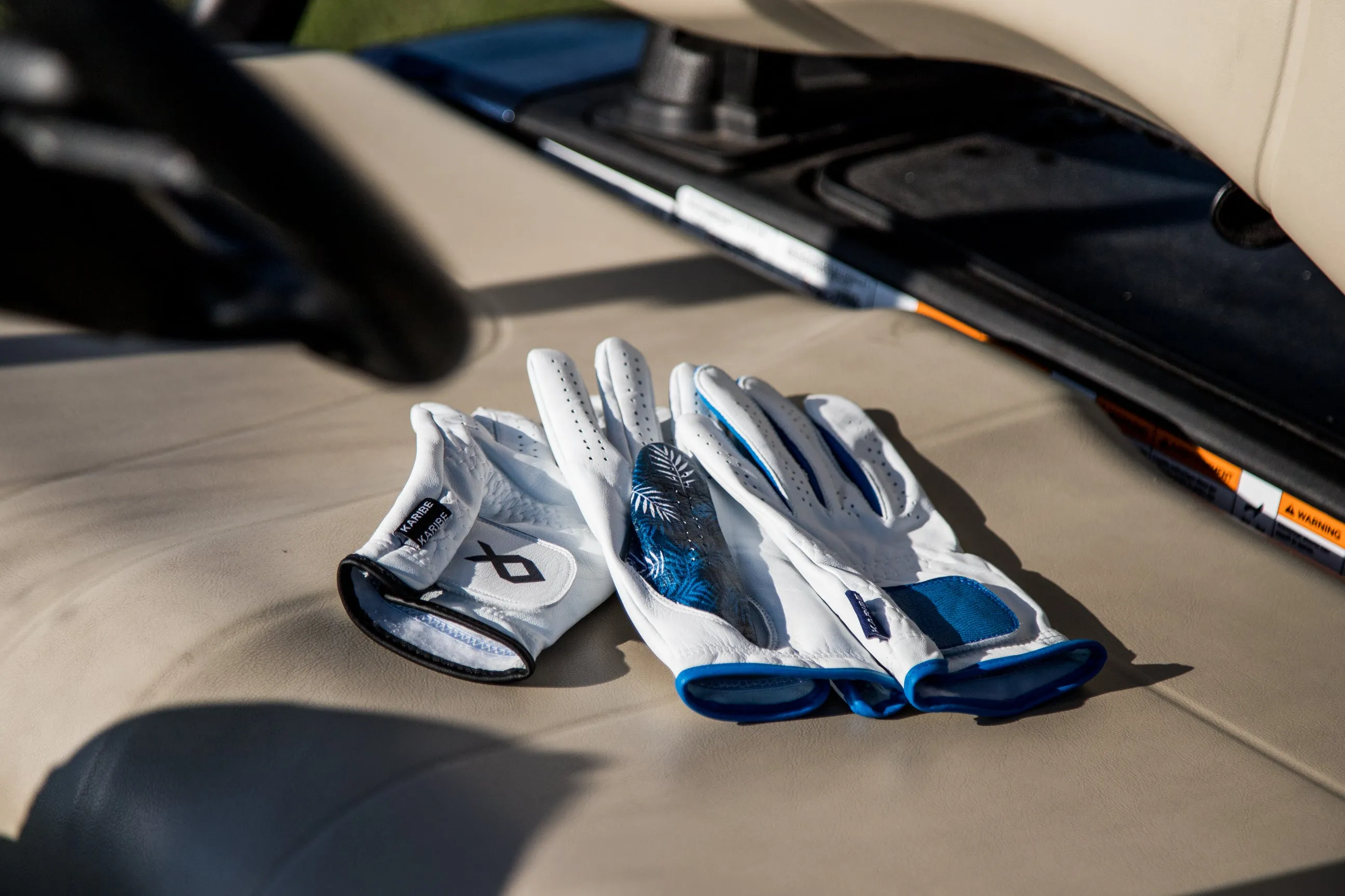 Blue Palms -  Cabretta Golf Glove