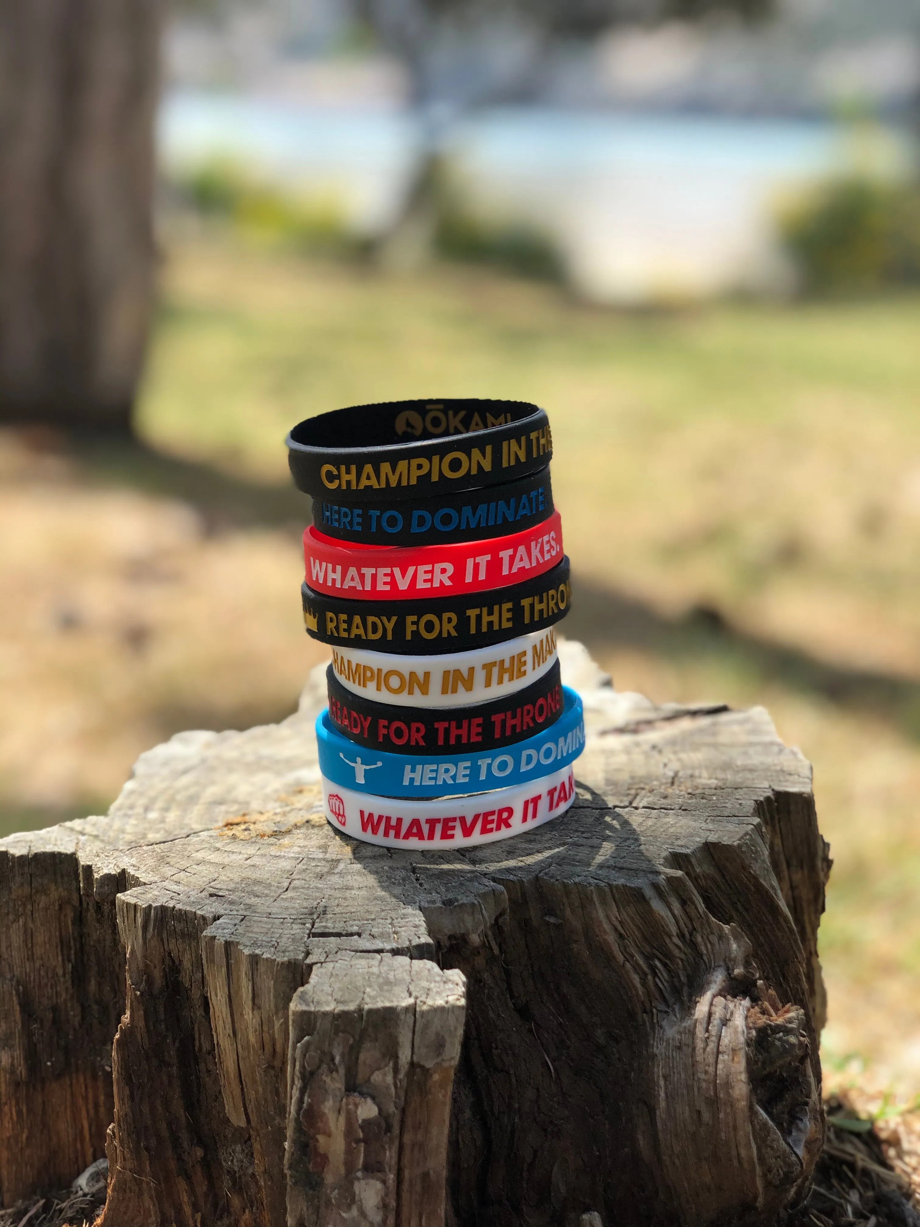 Champ Bundle (8 pack)