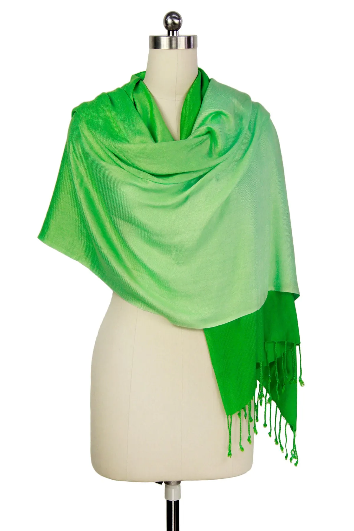 Citlali Ombre Fringed Scarf