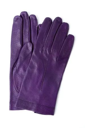 Domino/Indigo Purple