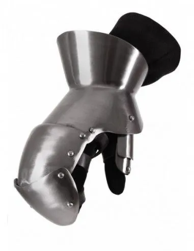 Medieval Gauntlets Gloves Armour - Fully Wearable - Gloves Included