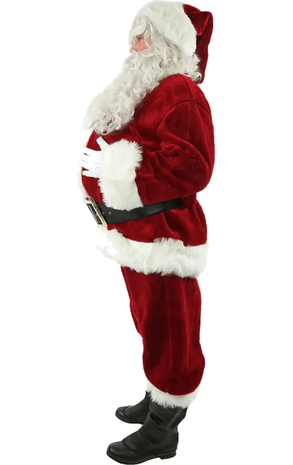 Santa Suit (Professional)