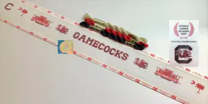 South Carolina Needlepoint Belt Canvas